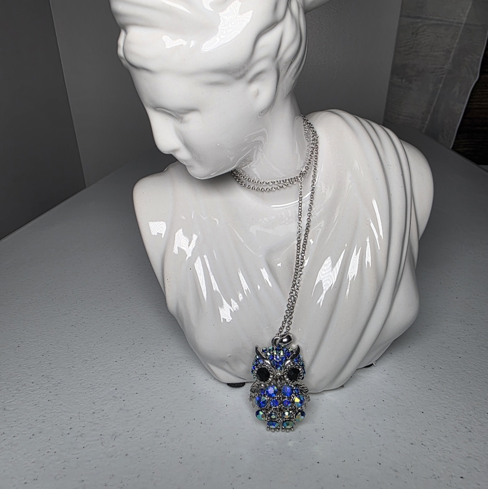 Silver and Blue Fashion Necklace with Owl Pendant